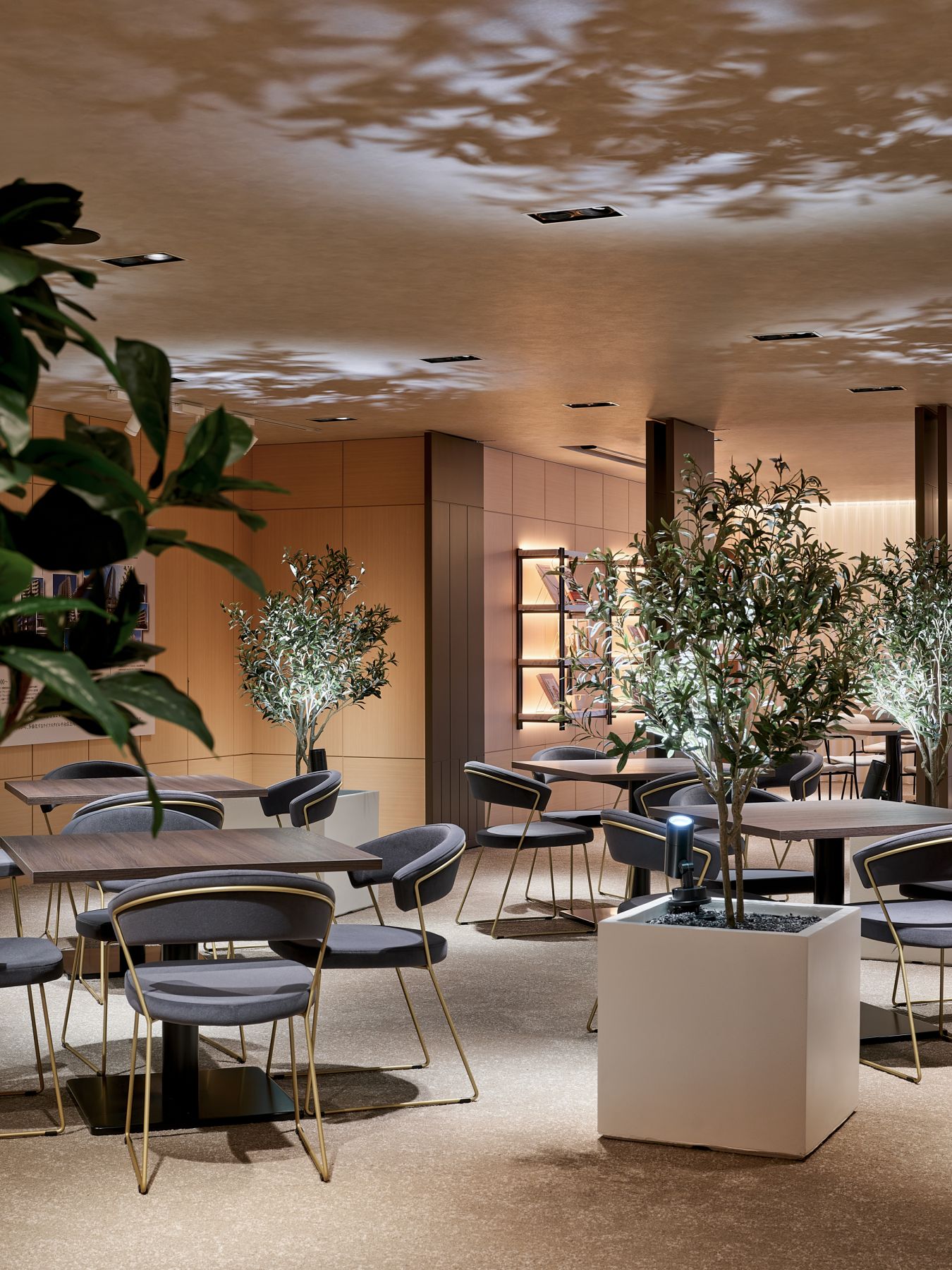 Sotetsu House Gracia Salon